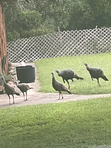 $897,000 | 1559 County Road 414, Uvalde, TX 78801