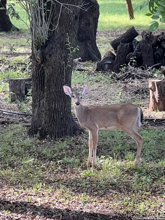 $789,000 | 1559 County Road 414, Uvalde, TX 78801
