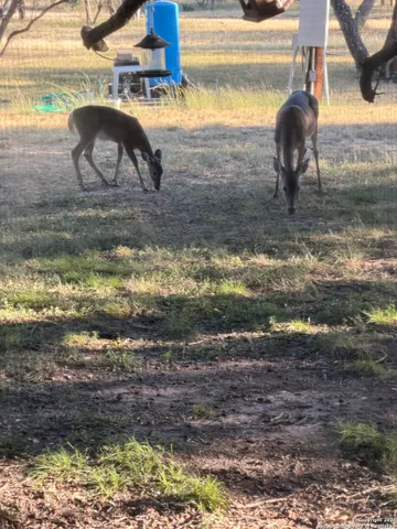 $897,000 | 1559 County Road 414, Uvalde, TX 78801