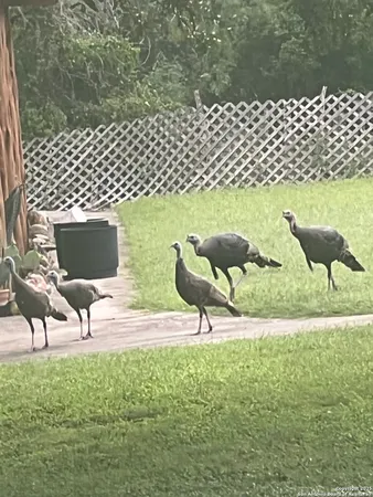 $789,000 | 1559 County Road 414, Uvalde, TX 78801