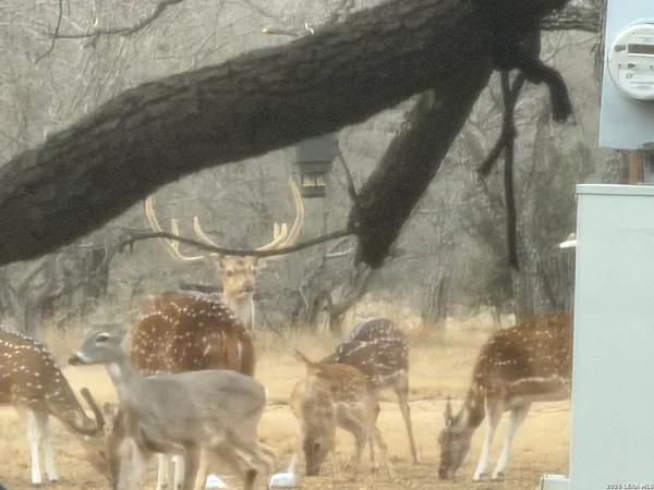 $789,000 | 1559 County Road 414, Uvalde, TX 78801