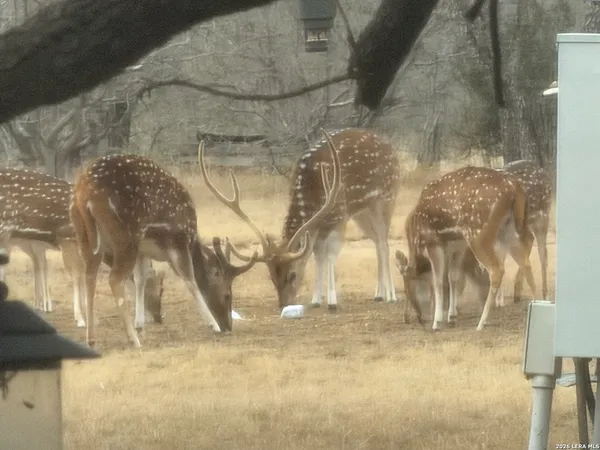 $789,000 | 1559 County Road 414, Uvalde, TX 78801