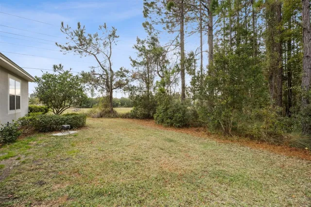 a view of a yard with a tree