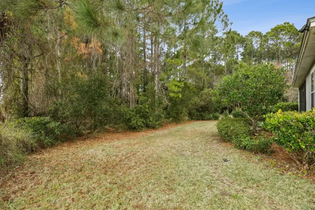 a view of a street with a flower plants and wooden fence