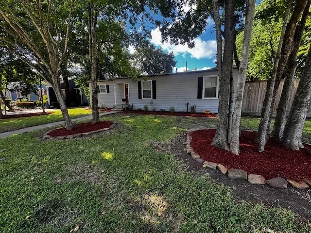 a view of a backyard with a tree