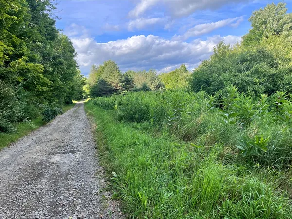 $139,500 | Greenbush Road, Erin, NY 14838