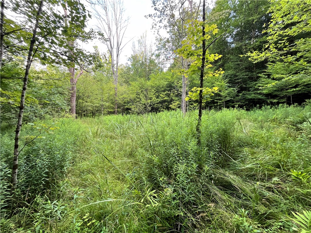 Greenbush Road Erin, NY 14838 - Photo 11 of 38
