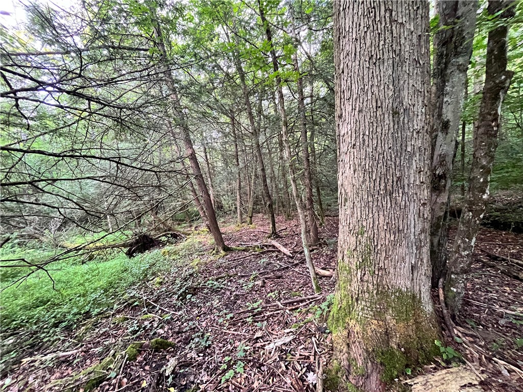 Greenbush Road Erin, NY 14838 - Photo 12 of 38
