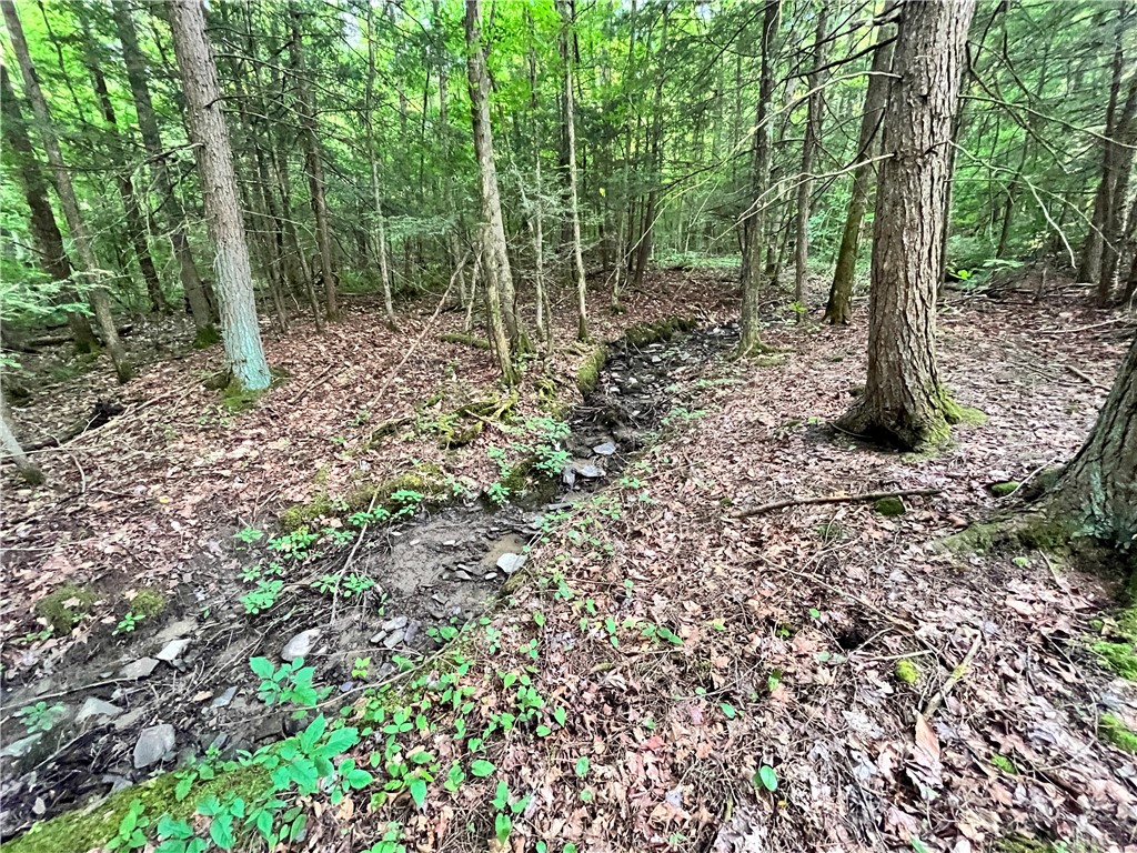Greenbush Road Erin, NY 14838 - Photo 13 of 38