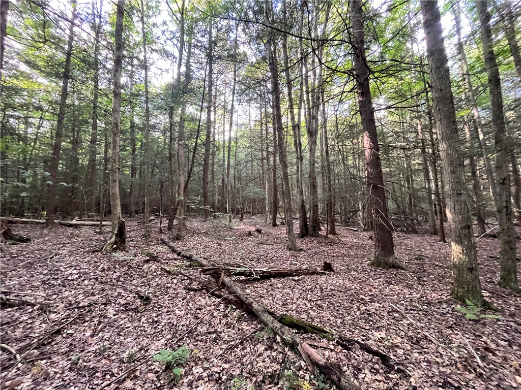 Greenbush Road Erin, NY 14838 - Photo 16 of 38