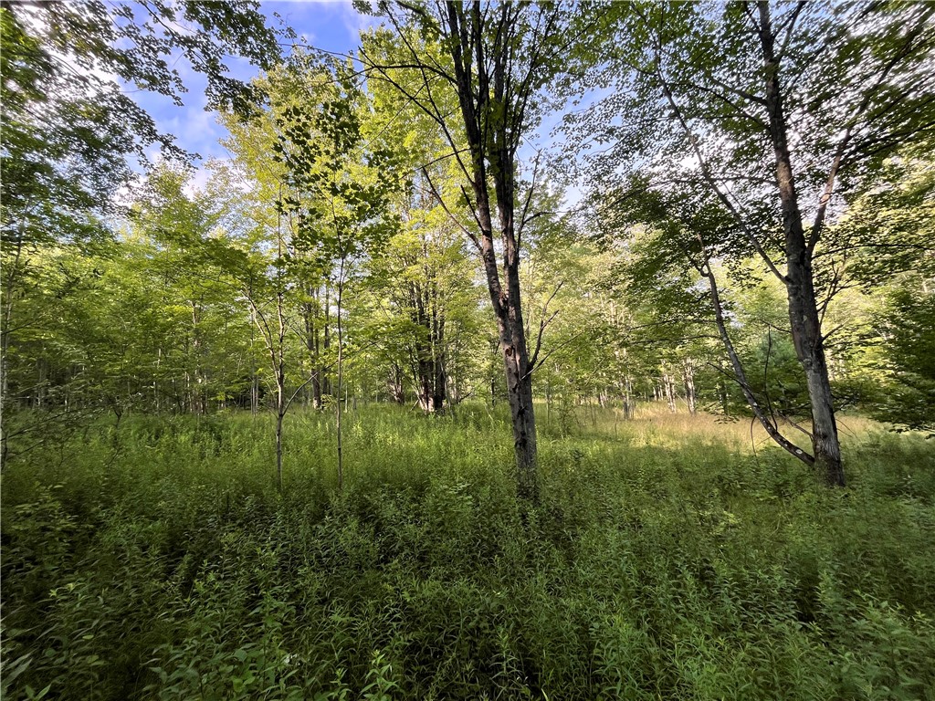 Greenbush Road Erin, NY 14838 - Photo 17 of 38