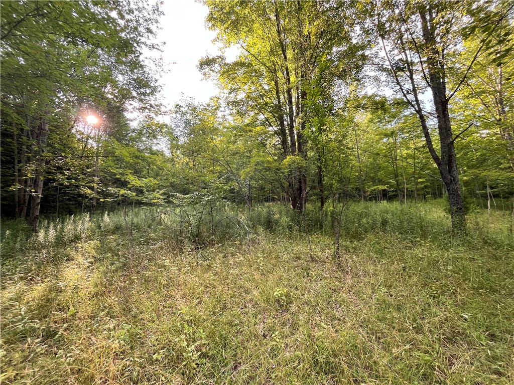 Greenbush Road Erin, NY 14838 - Photo 18 of 38
