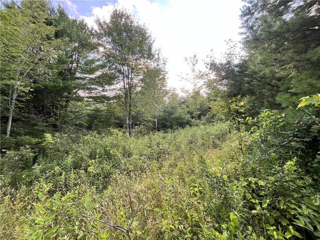 Greenbush Road Erin, NY 14838 - Photo 25 of 38