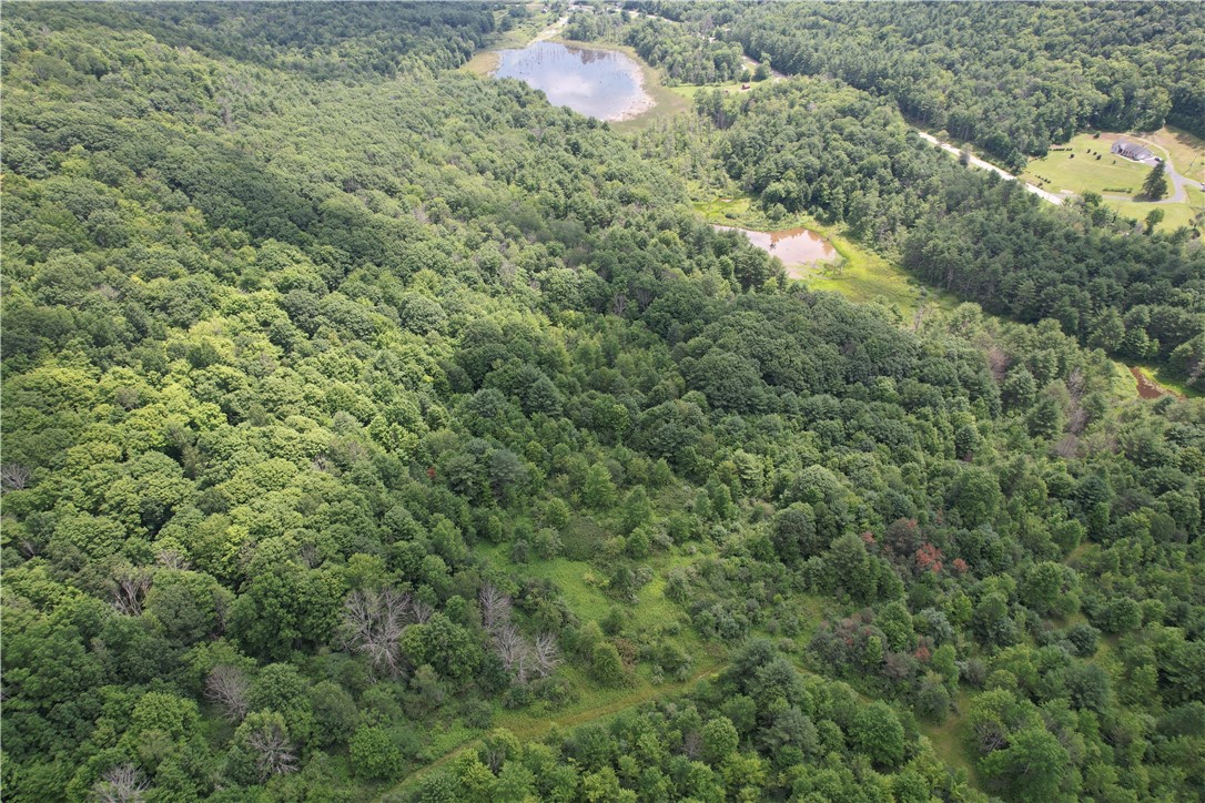 Greenbush Road Erin, NY 14838 - Photo 3 of 38