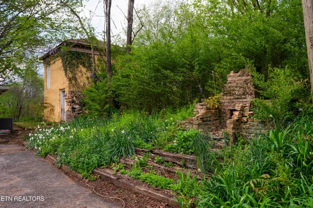 a big yard with lots of green space and plants