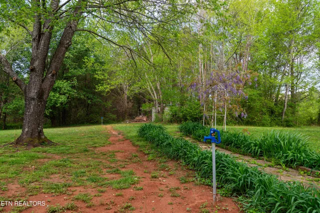 a backyard of a house with plants and large tree