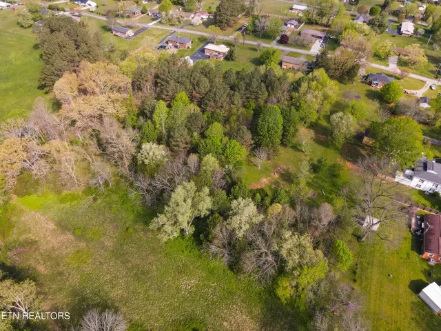 a view of lake with mountain