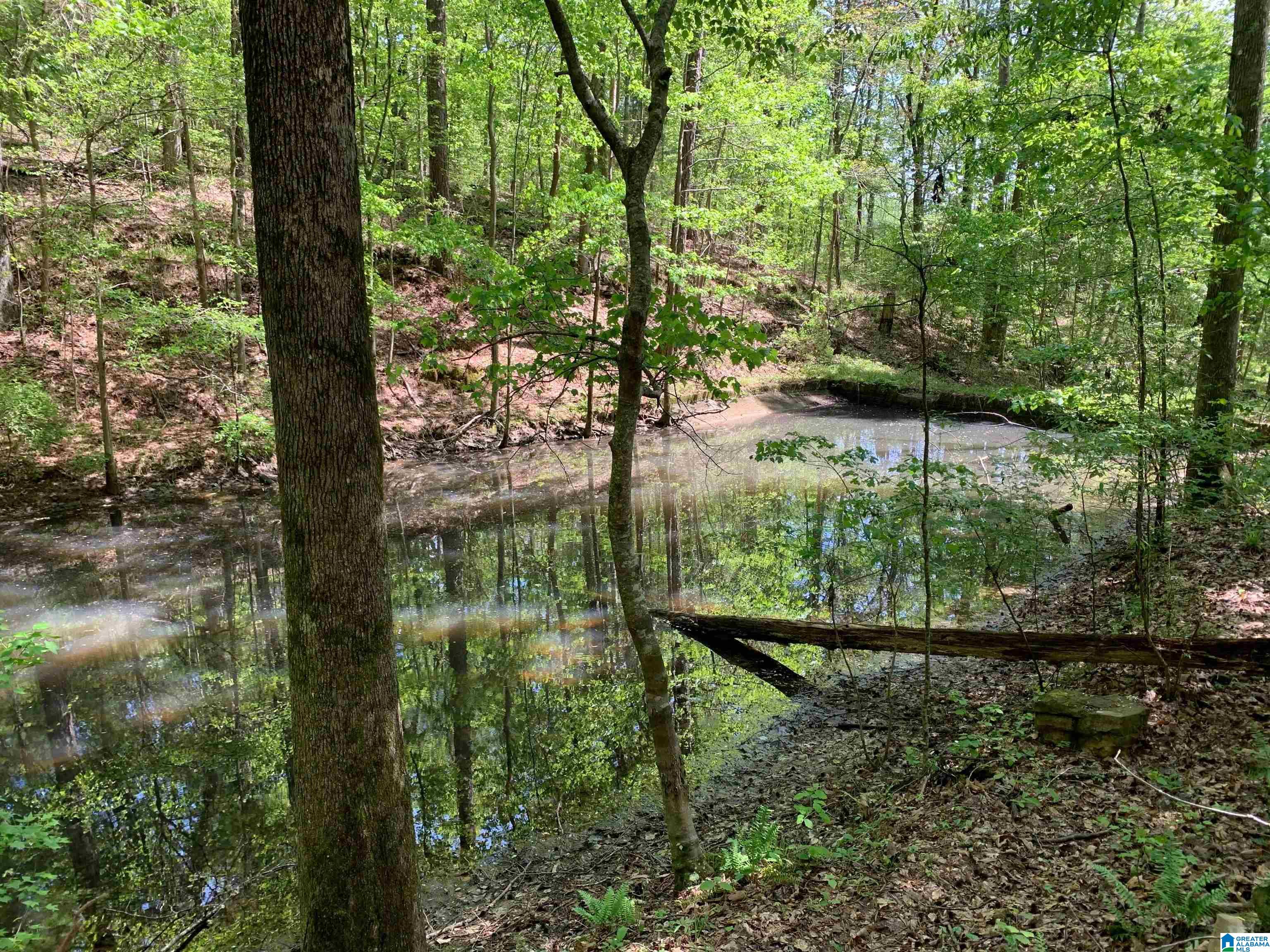 7981 Blackie Curren Road Bessemer, AL 35022 - Photo 3 of 9