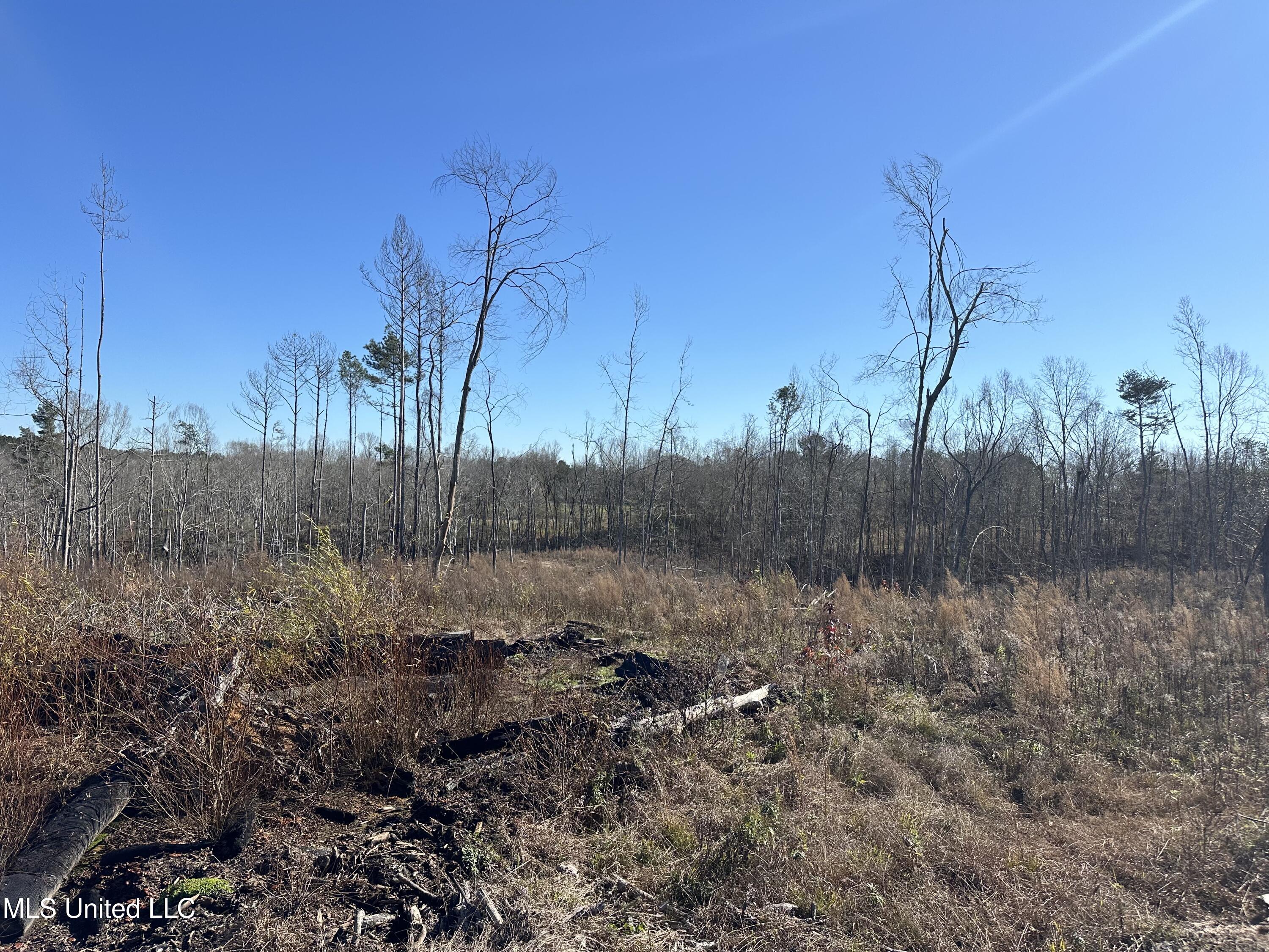 Wesson Game Lane Wesson, MS 39191 - Photo 2 of 28 IMG_4298