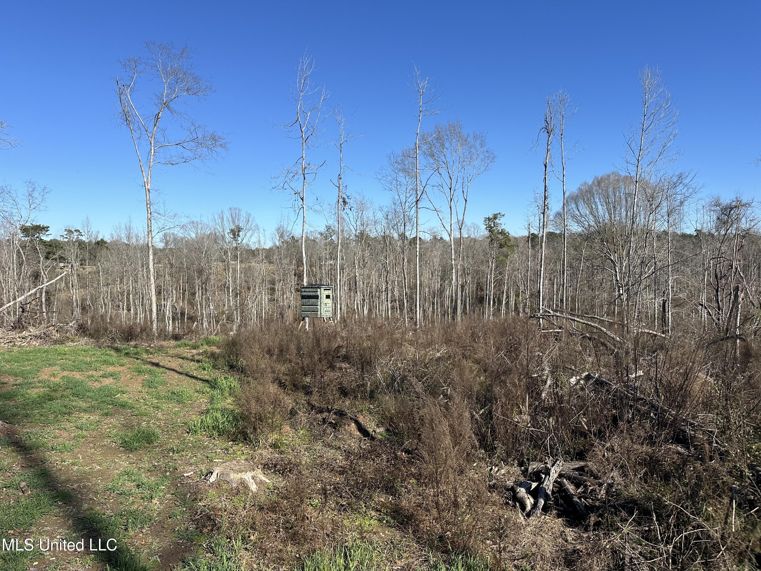 Wesson Game Lane Wesson, MS 39191 - Photo 5 of 28 IMG_4301