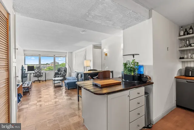 a living room with furniture and potted plants