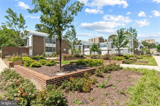 a view of a garden with a tree in the background