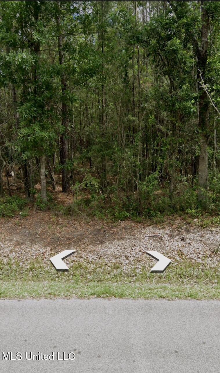 West Bayou Road Bay St. Louis, MS 39520 - Photo 4 of 5 IMG_6400