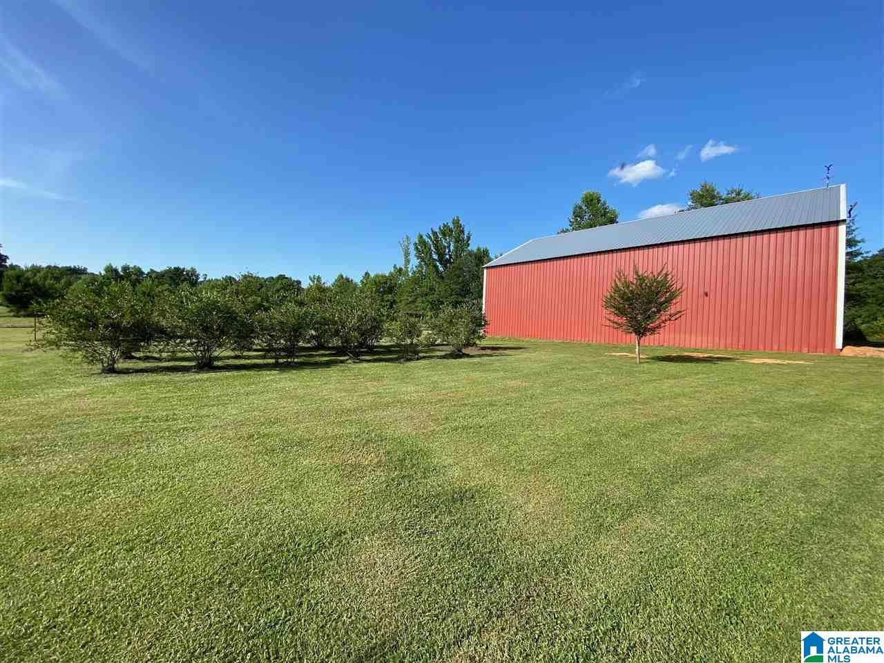 8321 Mill Creek Road Dora, AL 35062 - Photo 41 of 49