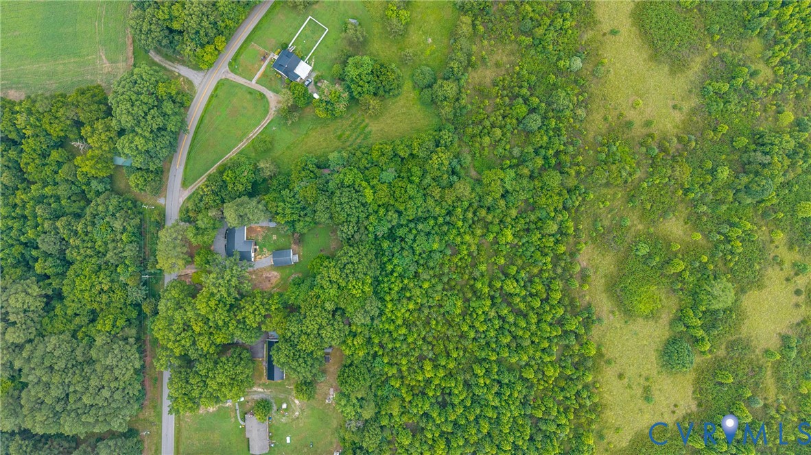 803 Germantown Road Farmville, VA 23901 - Photo 57 of 61 Expansive land parcel featuring dense tree coverag