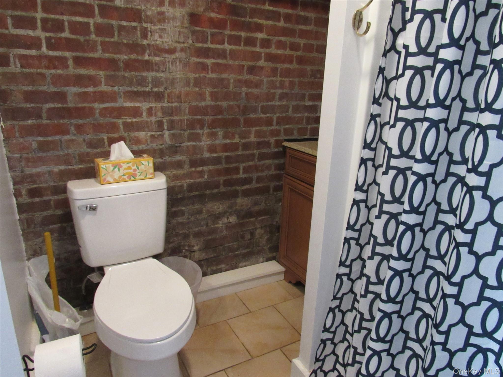 76 Webster Avenue Goshen, NY 10924 - Photo 10 of 15 a bathroom with a toilet and a shower curtain