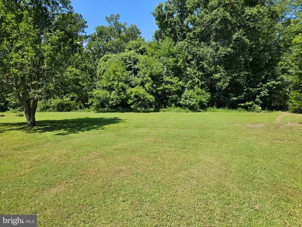 a view of a field with a trees in the background