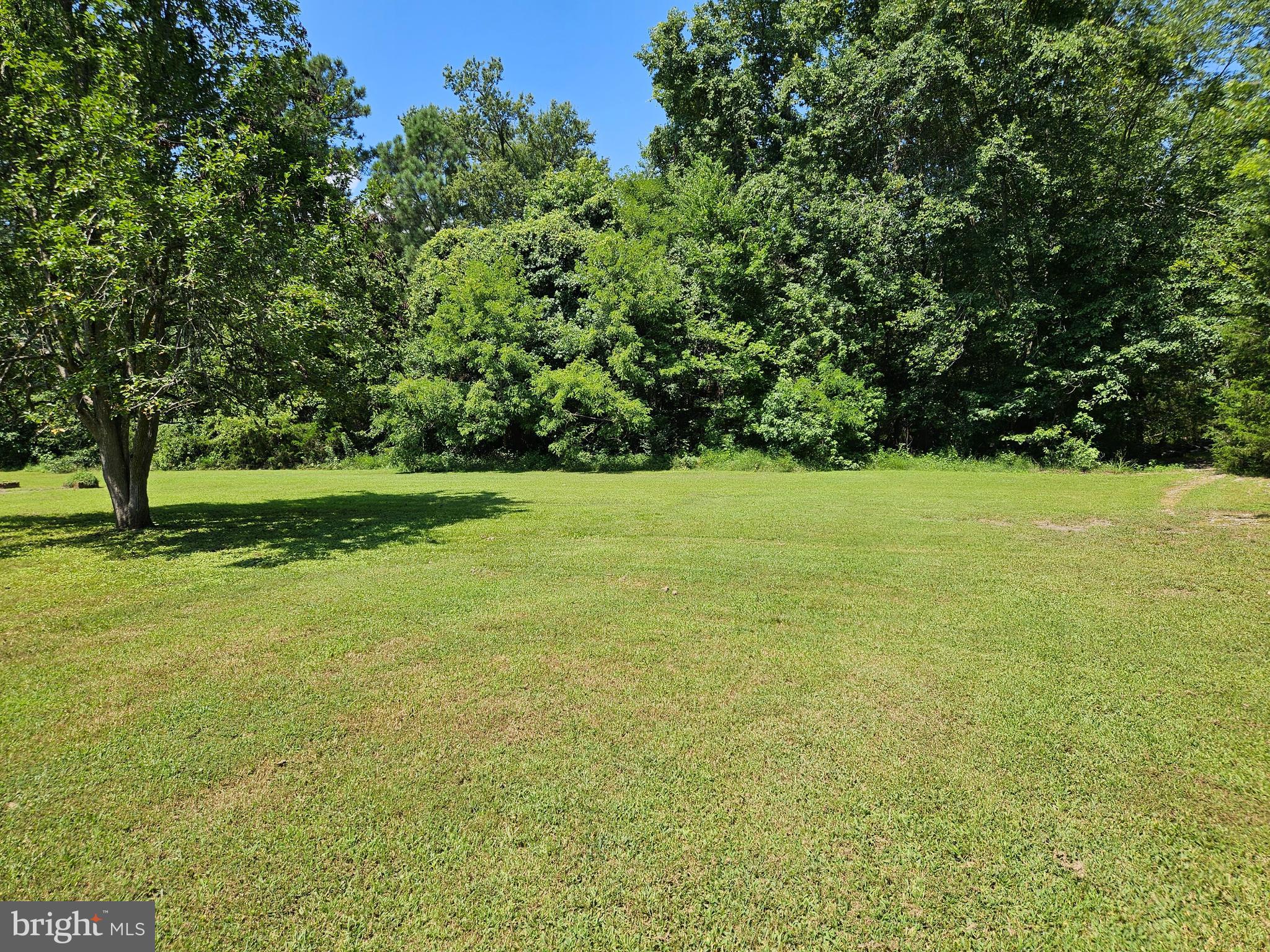 16485 Dawn Boulevard Hanover, VA 23069 - Photo 6 of 29 a view of a field with a trees in the background