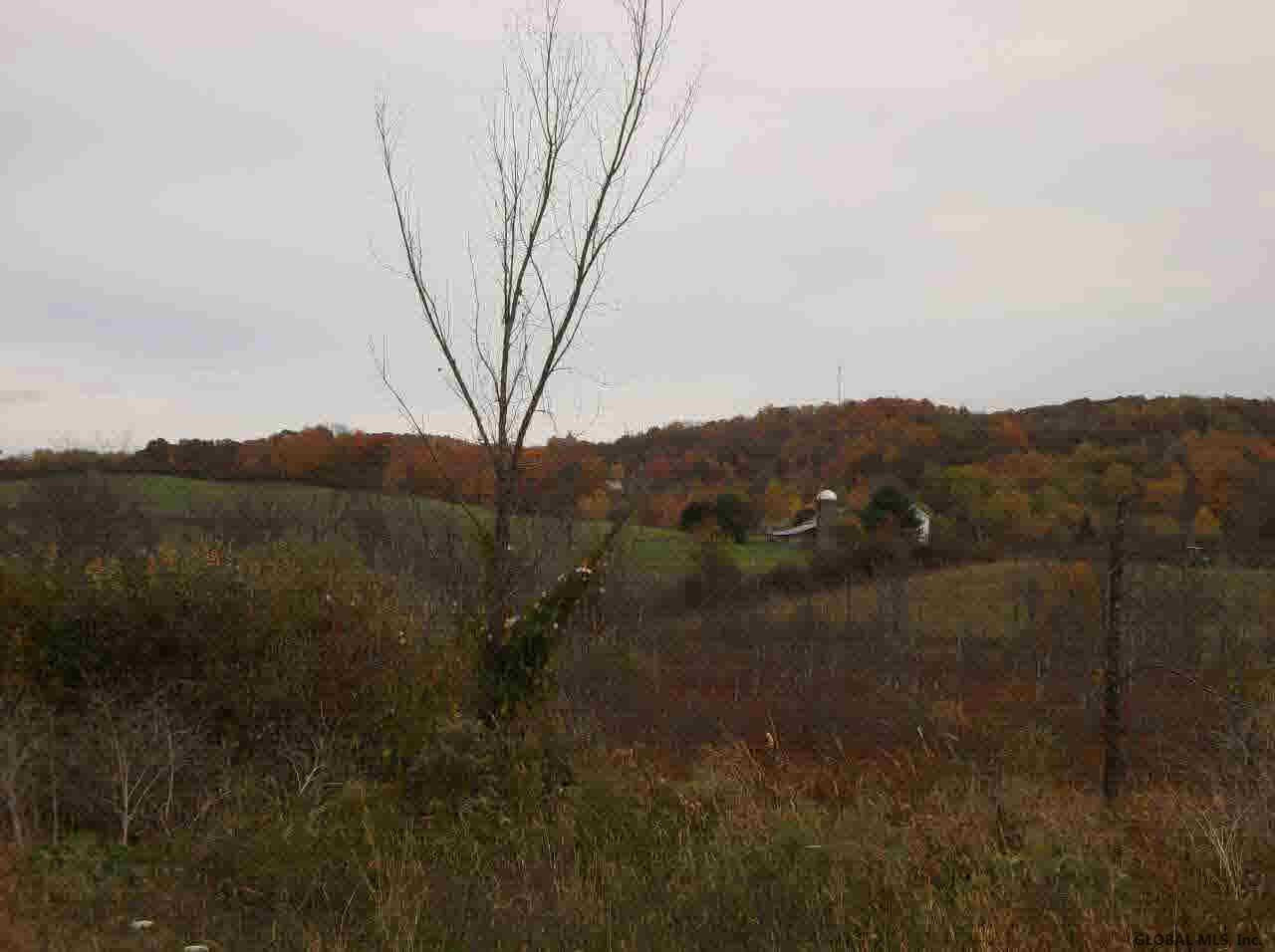 1069 Big Burch Hill Road Hebron, NY 12832 - Photo 11 of 25 Photo 11
