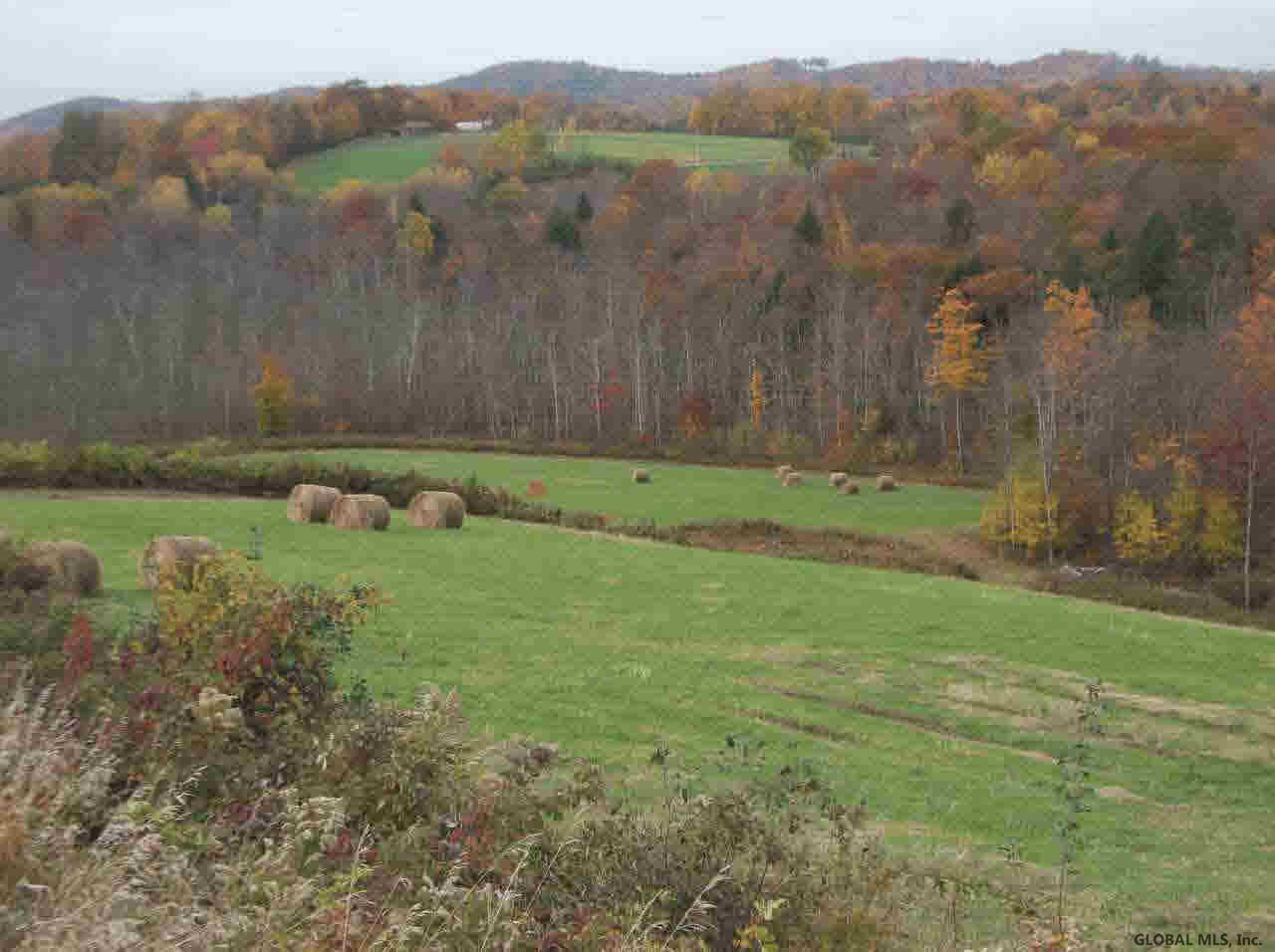 1069 Big Burch Hill Road Hebron, NY 12832 - Photo 8 of 25 Photo 8