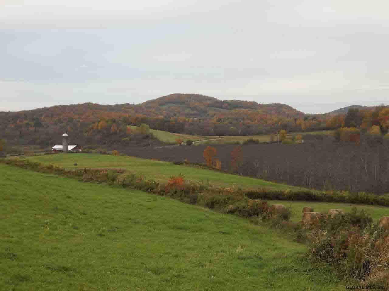 1069 Big Burch Hill Road Hebron, NY 12832 - Photo 9 of 25 Photo 9