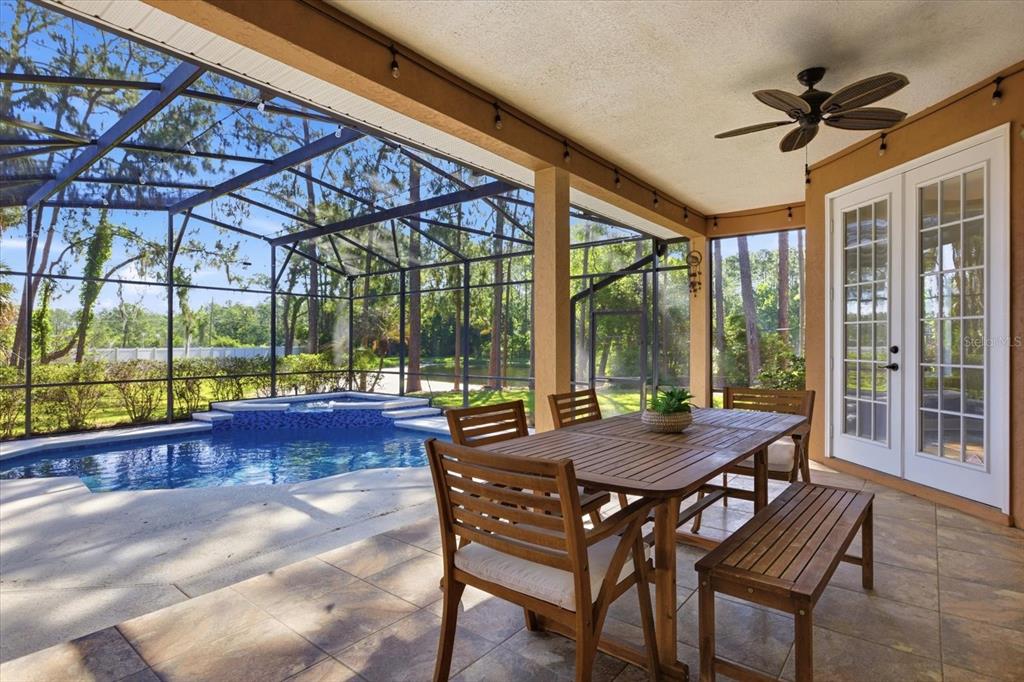 1064 Ceasars Court Mount Dora, FL 32757 - Photo 29 of 46