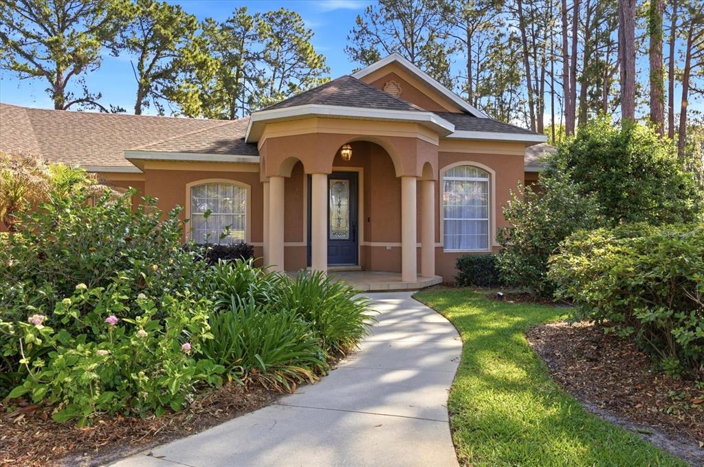 1064 Ceasars Court Mount Dora, FL 32757 - Photo 3 of 46