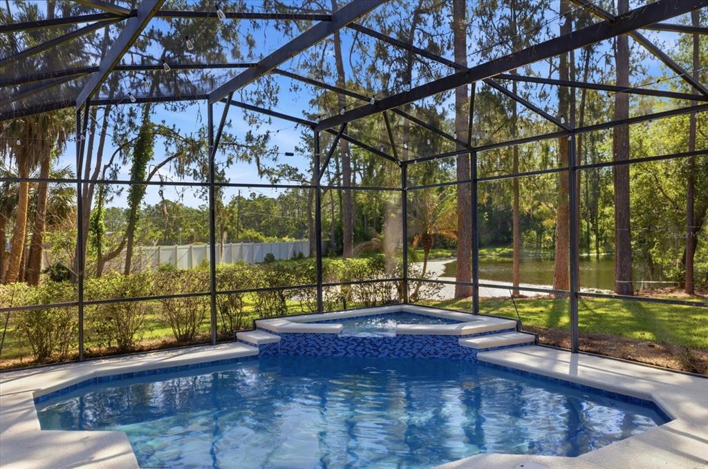 1064 Ceasars Court Mount Dora, FL 32757 - Photo 34 of 46