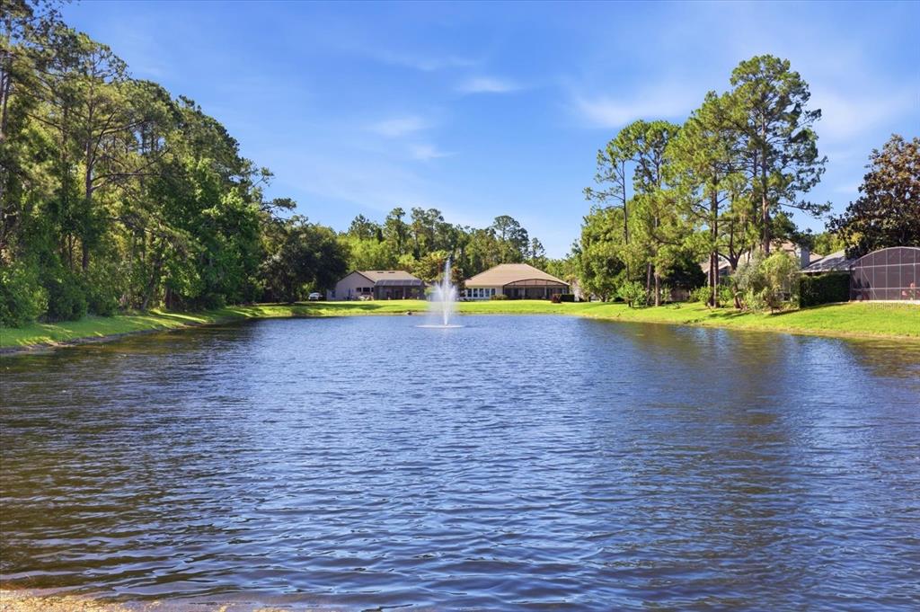 1064 Ceasars Court Mount Dora, FL 32757 - Photo 35 of 46