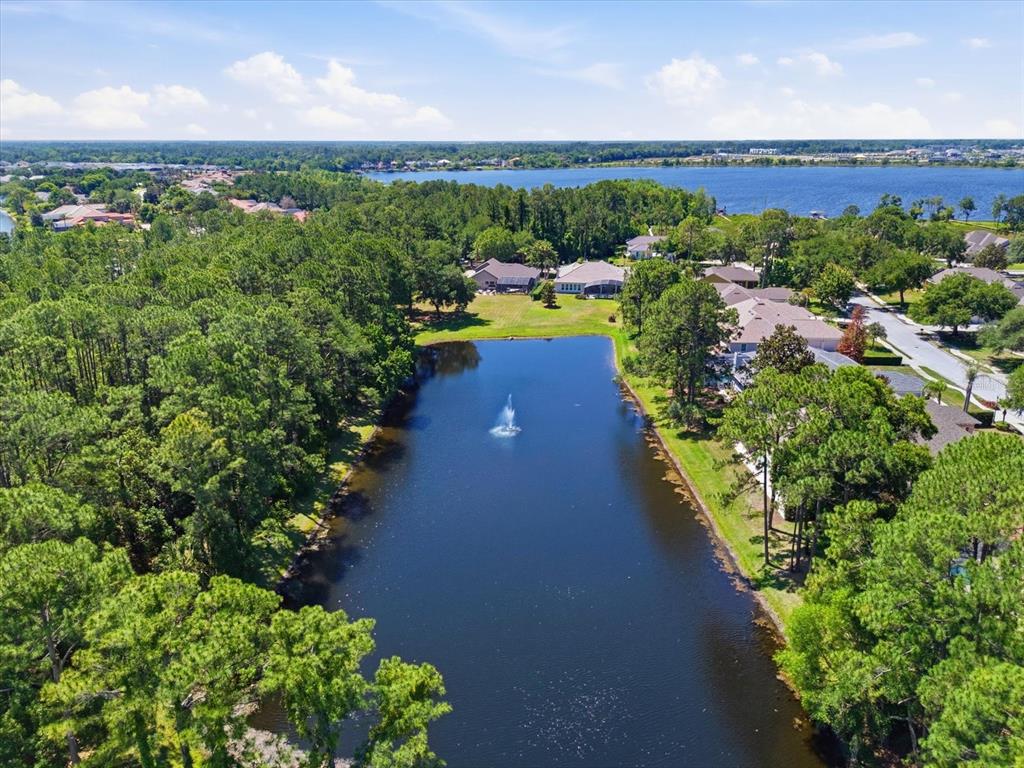 1064 Ceasars Court Mount Dora, FL 32757 - Photo 38 of 46