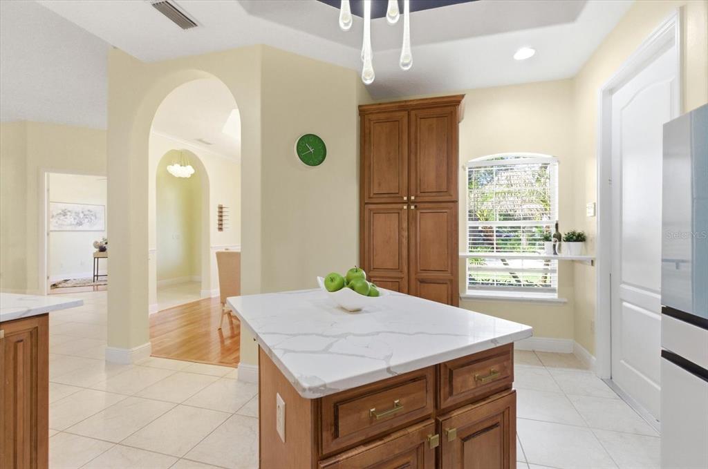 1064 Ceasars Court Mount Dora, FL 32757 - Photo 9 of 46
