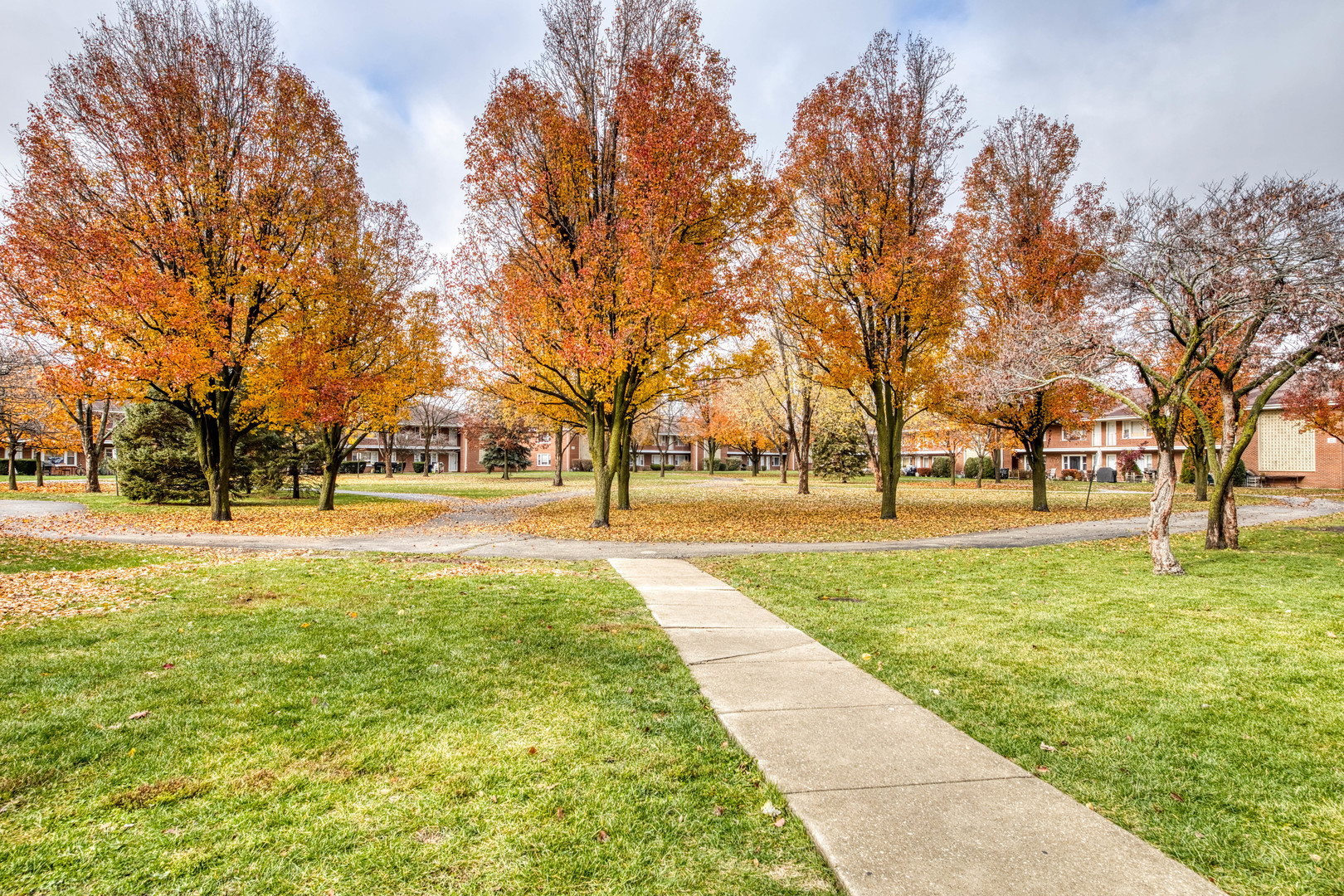 1119 East Algonquin Road, Unit 11 Arlington Heights, IL 60005 - Photo 2 of 15 a view of yard with trees