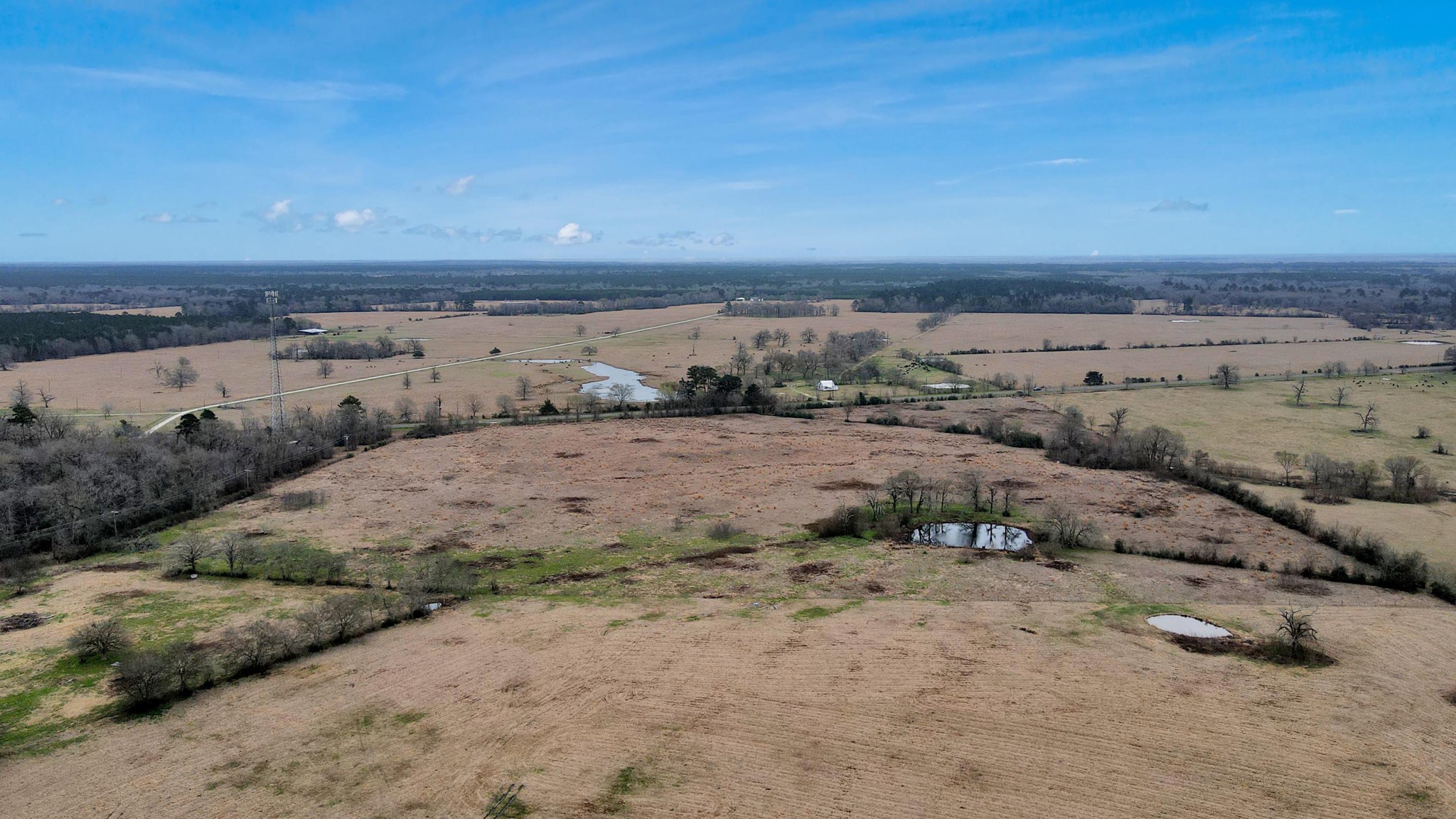 12755 Fm 230 Lovelady, TX 75851 - Photo 12 of 26 an aerial view of beach and ocean