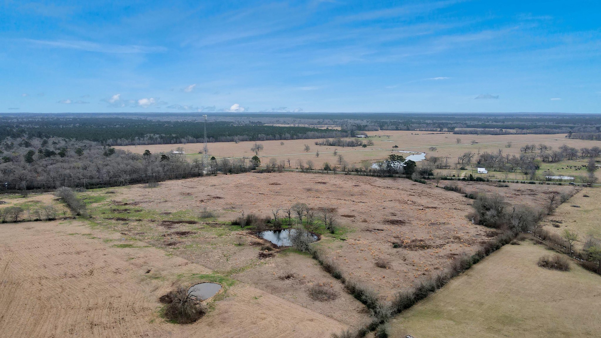 12755 Fm 230 Lovelady, TX 75851 - Photo 13 of 26 a view of an ocean beach