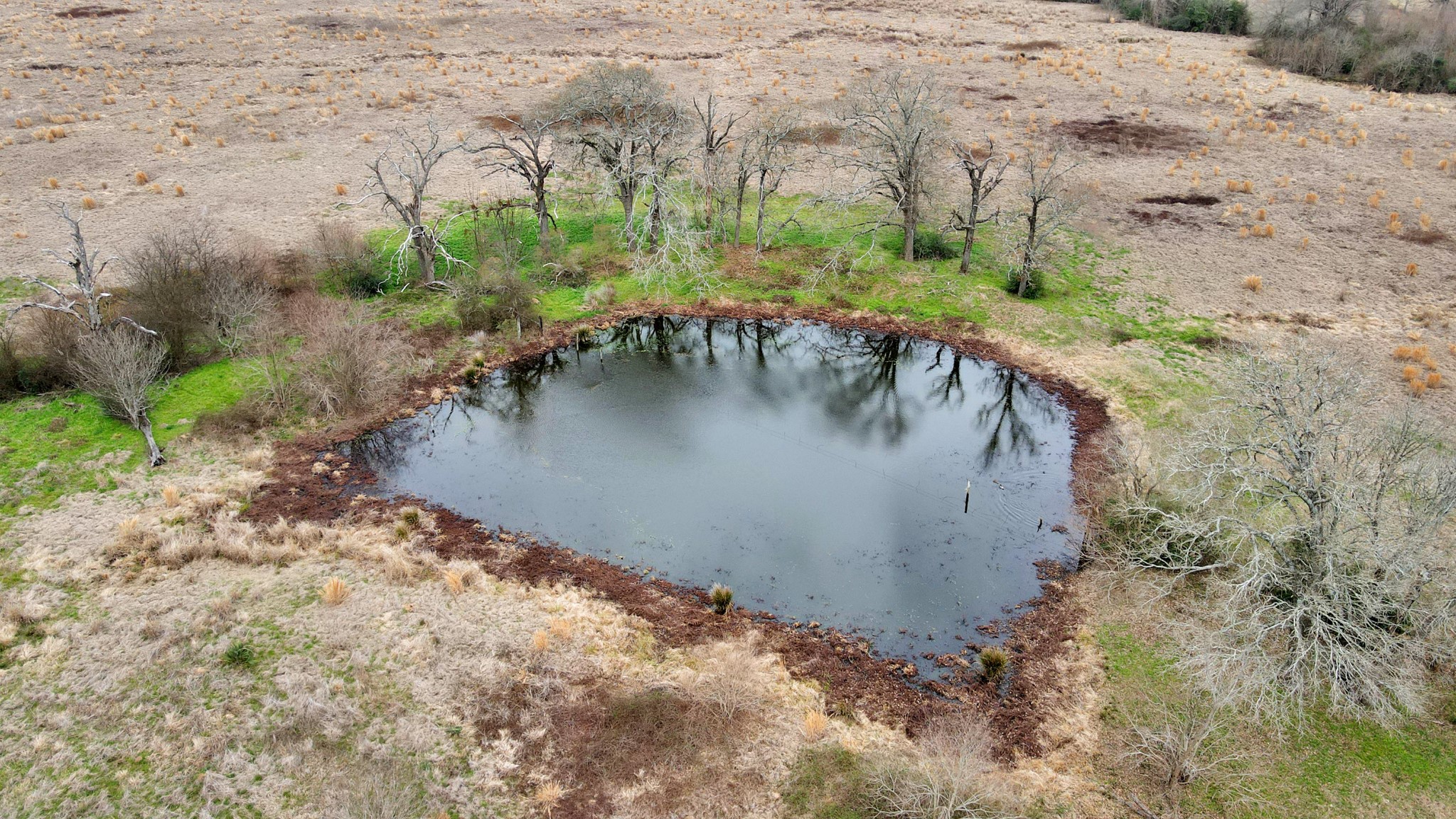 12755 Fm 230 Lovelady, TX 75851 - Photo 14 of 26 a view of a water pond with water view