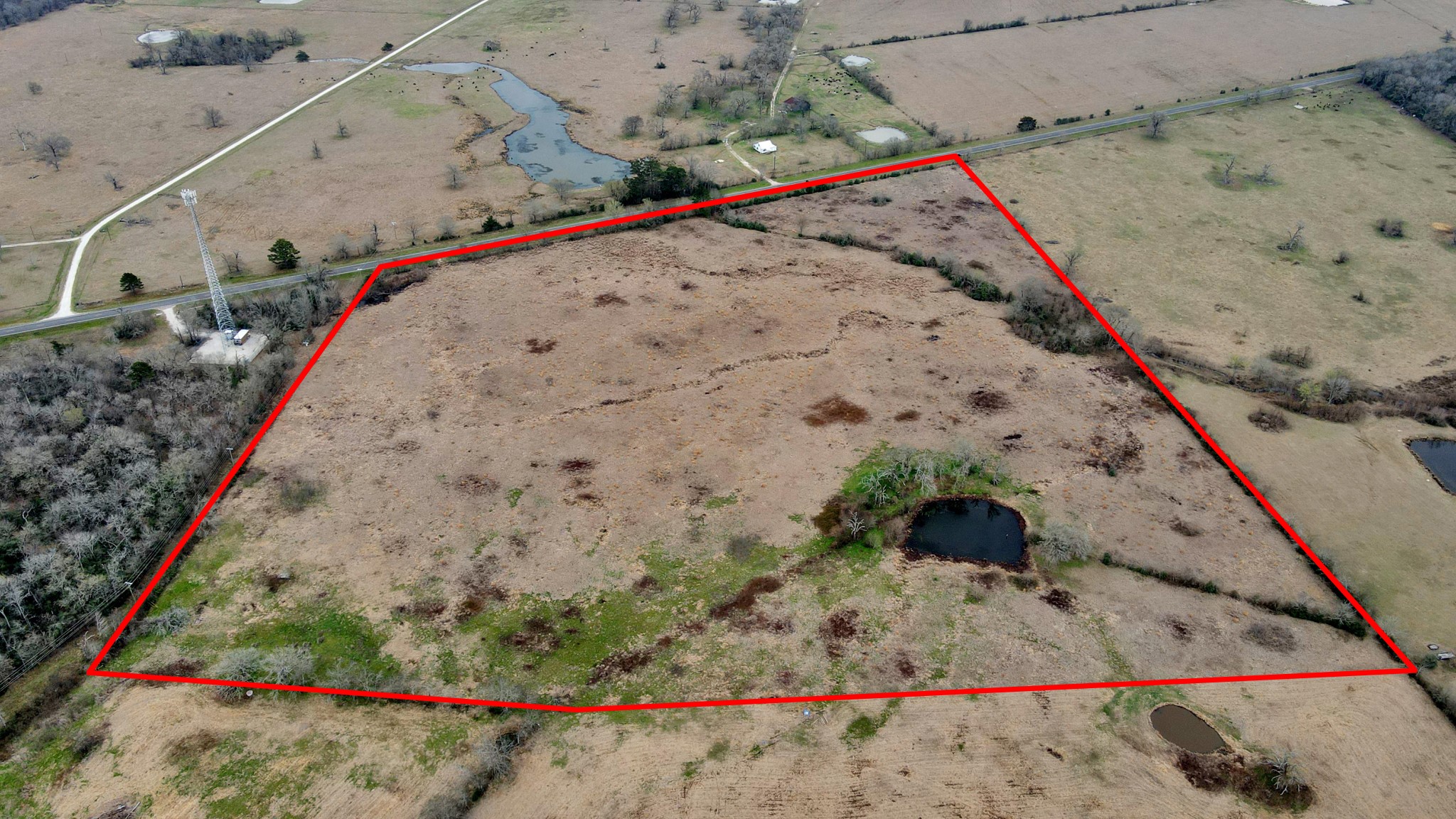 12755 Fm 230 Lovelady, TX 75851 - Photo 20 of 26