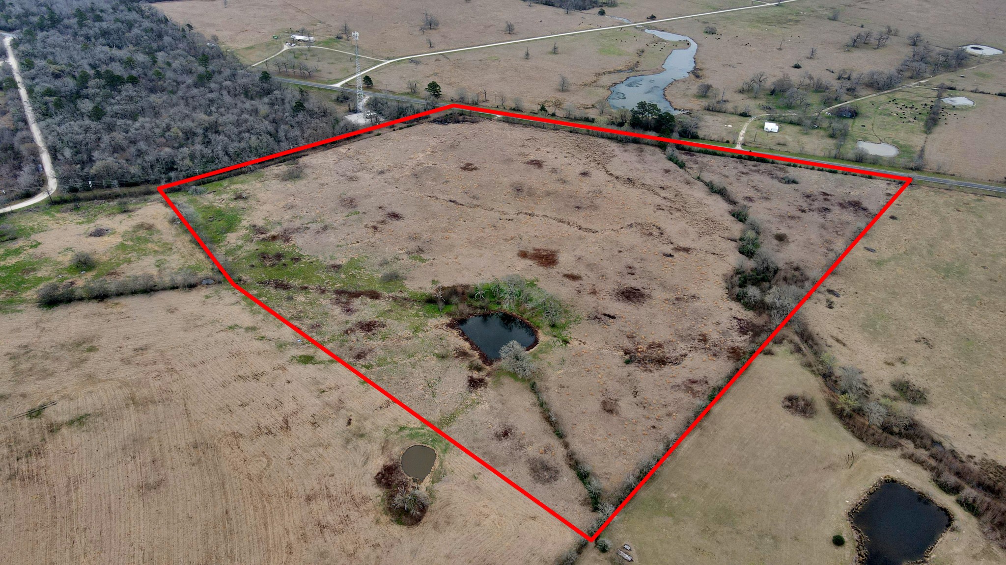 12755 Fm 230 Lovelady, TX 75851 - Photo 21 of 26