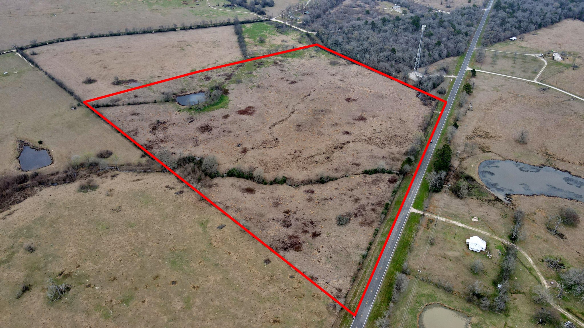 12755 Fm 230 Lovelady, TX 75851 - Photo 23 of 26 swimming pool view