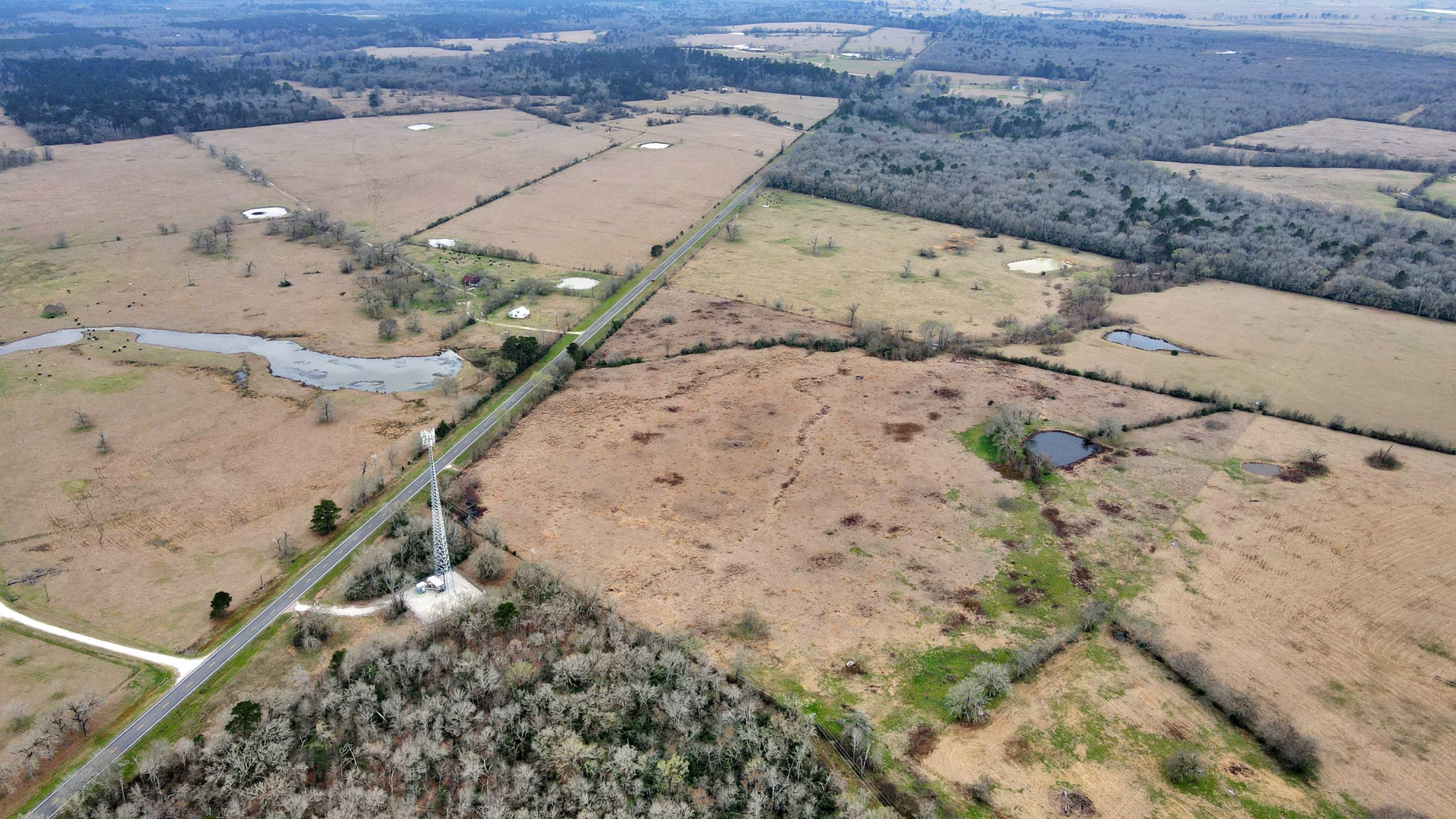 12755 Fm 230 Lovelady, TX 75851 - Photo 4 of 26 view of a dry yard with wooden fence