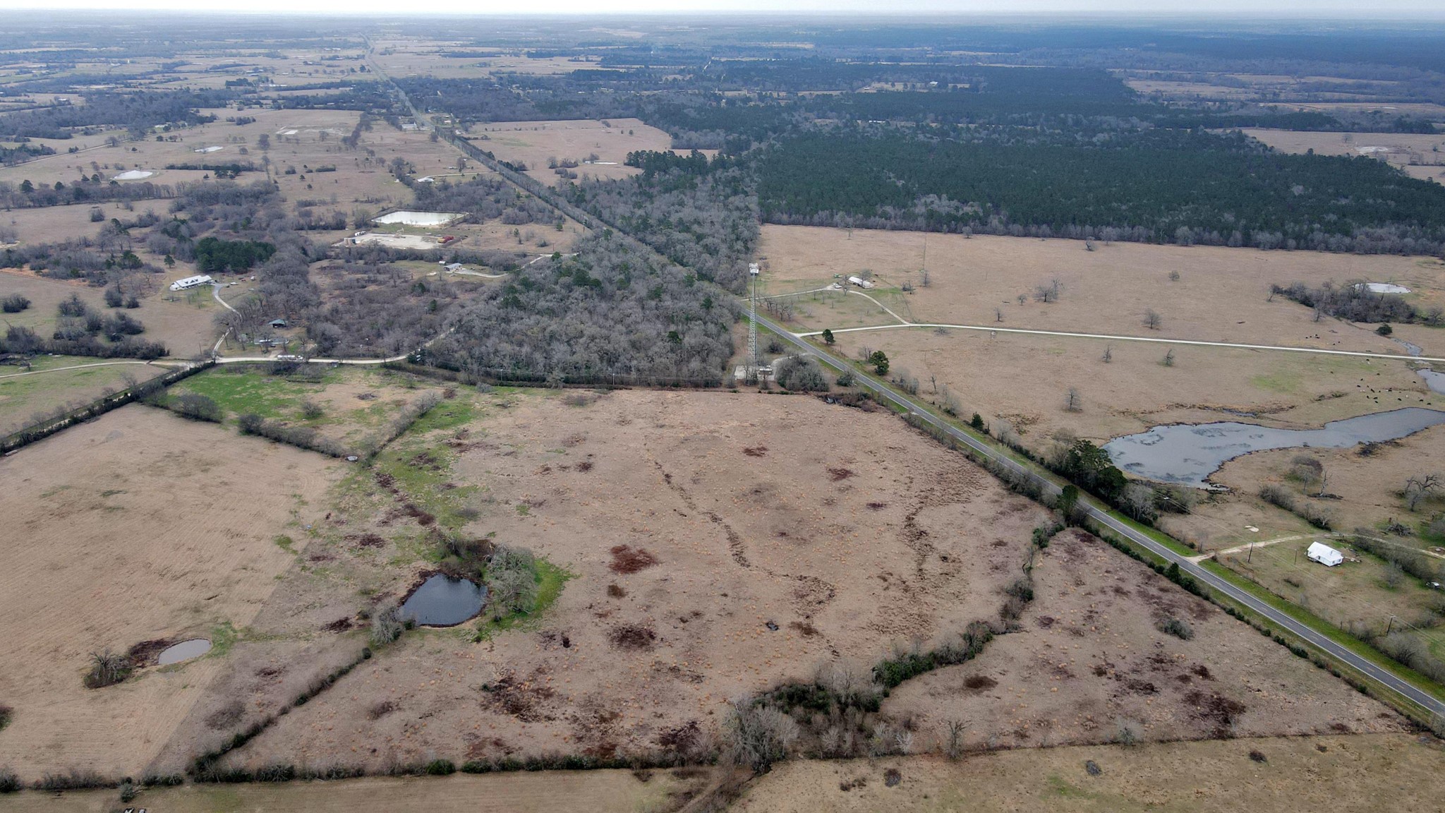 12755 Fm 230 Lovelady, TX 75851 - Photo 7 of 26